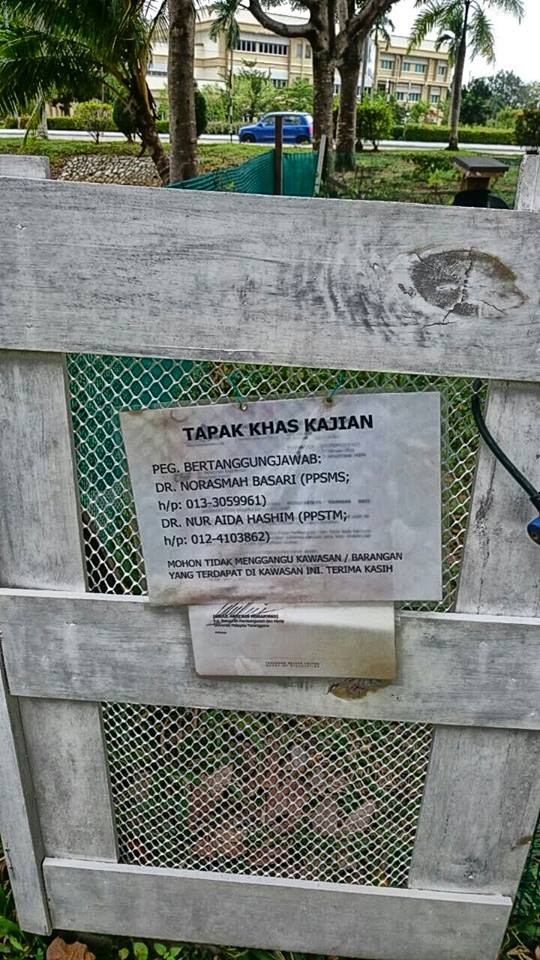 Kelulutologi Kelulut Malaysia