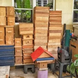 Ganda Koloni Kelulut 01