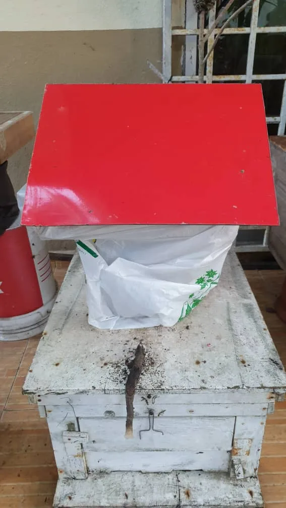 Kelulut Ancaman'fogging nyamuk 03